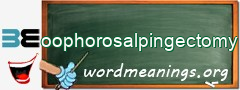 WordMeaning blackboard for oophorosalpingectomy